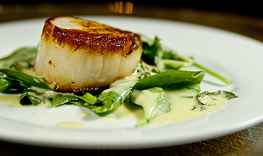 Chilean sea bass fillet
