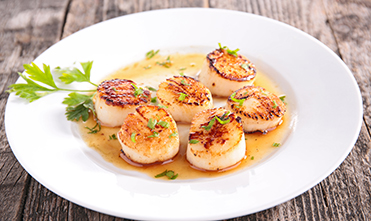 Sea scallops